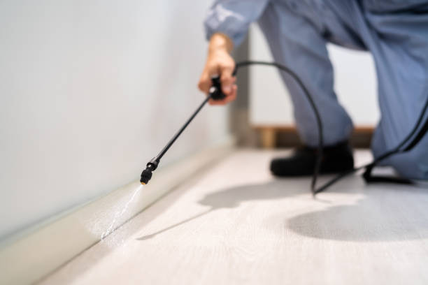 Licensed Pest Control service in Goldstream, AK - Show Me Pest Control