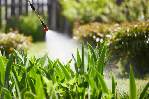 24/7 Emergency Ant Control experts in Goldstream, AK