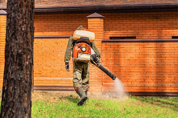 Top rated local Ant Control specialists in Goldstream, AK